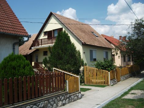 protektor_026.jpg